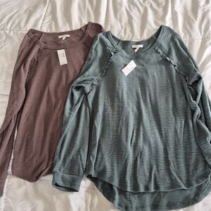 Maurices Long Sleeve Tops Purple and Green